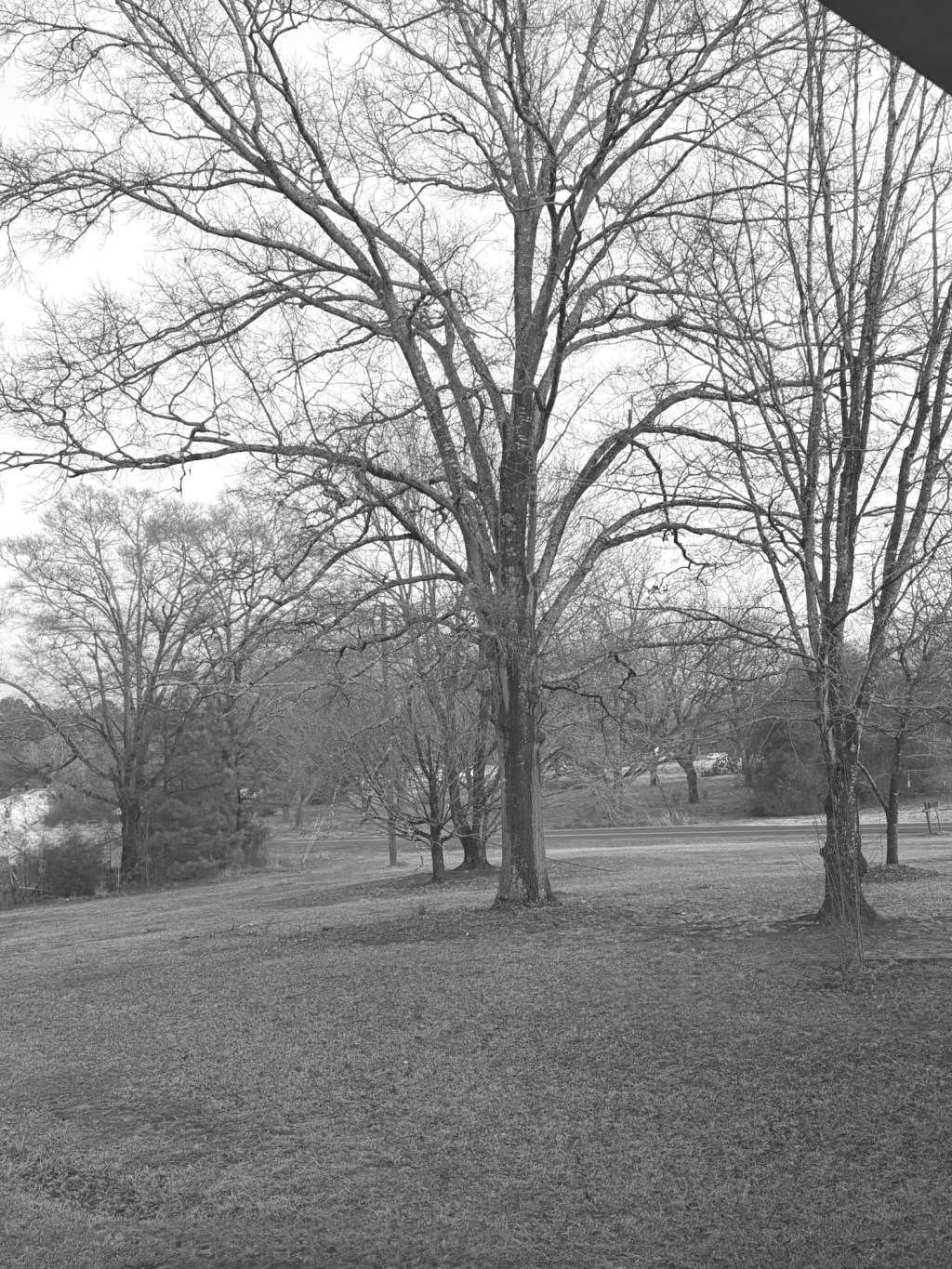 Seeking Refuge in the&nbsp;Rain